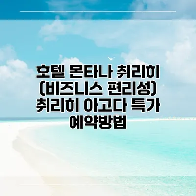 호텔 몬타나 취리히 (비즈니스 편리성) 취리히 아고다 특가 예약방법