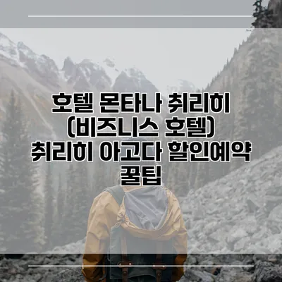 호텔 몬타나 취리히 (비즈니스 호텔) 취리히 아고다 할인예약 꿀팁