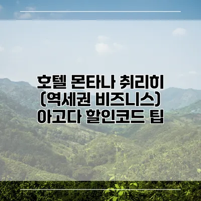 호텔 몬타나 취리히 (역세권 비즈니스) 아고다 할인코드 팁
