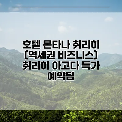 호텔 몬타나 취리히 (역세권 비즈니스) 취리히 아고다 특가 예약팁