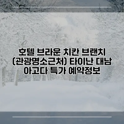 호텔 브라운 치칸 브랜치 (관광명소근처) 타이난 대남 아고다 특가 예약정보