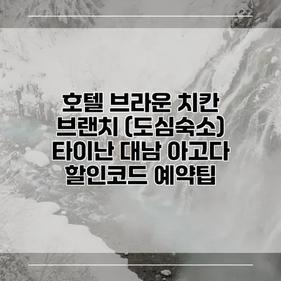 호텔 브라운 치칸 브랜치 (도심숙소) 타이난 대남 아고다 할인코드 예약팁