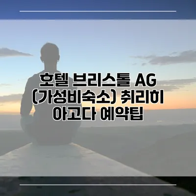 호텔 브리스톨 AG (가성비숙소) 취리히 아고다 예약팁