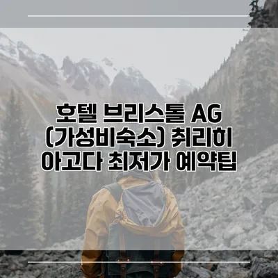 호텔 브리스톨 AG (가성비숙소) 취리히 아고다 최저가 예약팁