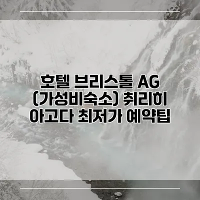 호텔 브리스톨 AG (가성비숙소) 취리히 아고다 최저가 예약팁