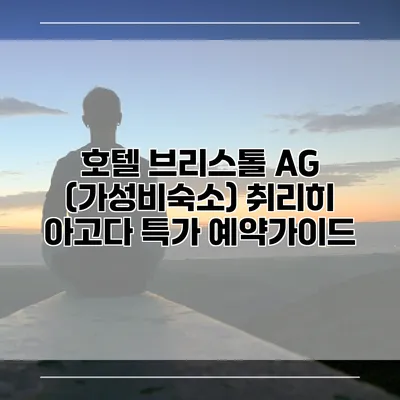 호텔 브리스톨 AG (가성비숙소) 취리히 아고다 특가 예약가이드