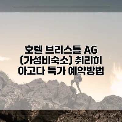 호텔 브리스톨 AG (가성비숙소) 취리히 아고다 특가 예약방법