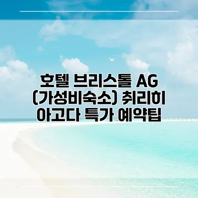 호텔 브리스톨 AG (가성비숙소) 취리히 아고다 특가 예약팁