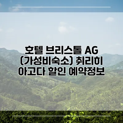호텔 브리스톨 AG (가성비숙소) 취리히 아고다 할인 예약정보