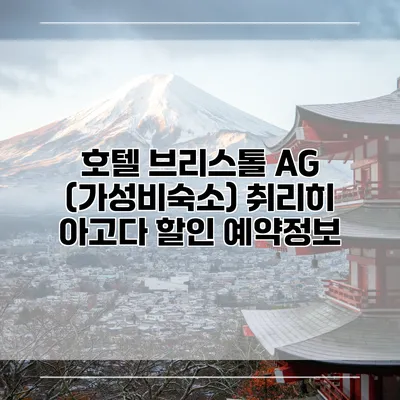 호텔 브리스톨 AG (가성비숙소) 취리히 아고다 할인 예약정보