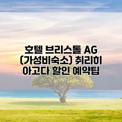 호텔 브리스톨 AG (가성비숙소) 취리히 아고다 할인 예약팁