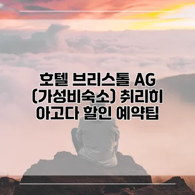 호텔 브리스톨 AG (가성비숙소) 취리히 아고다 할인 예약팁