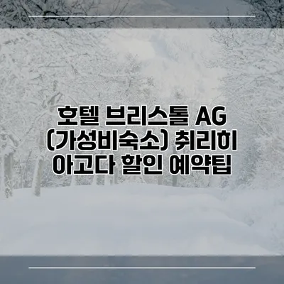 호텔 브리스톨 AG (가성비숙소) 취리히 아고다 할인 예약팁