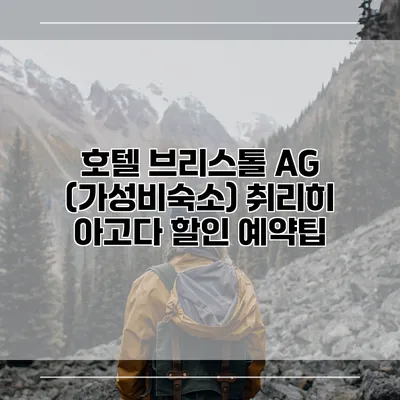 호텔 브리스톨 AG (가성비숙소) 취리히 아고다 할인 예약팁