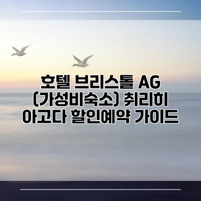 호텔 브리스톨 AG (가성비숙소) 취리히 아고다 할인예약 가이드