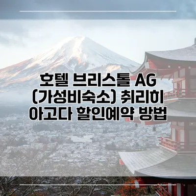 호텔 브리스톨 AG (가성비숙소) 취리히 아고다 할인예약 방법