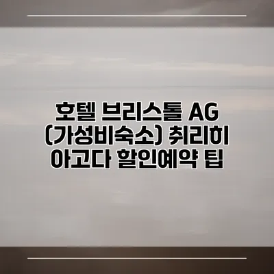 호텔 브리스톨 AG (가성비숙소) 취리히 아고다 할인예약 팁