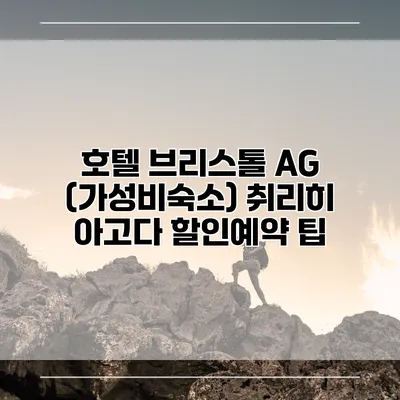 호텔 브리스톨 AG (가성비숙소) 취리히 아고다 할인예약 팁