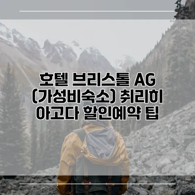 호텔 브리스톨 AG (가성비숙소) 취리히 아고다 할인예약 팁