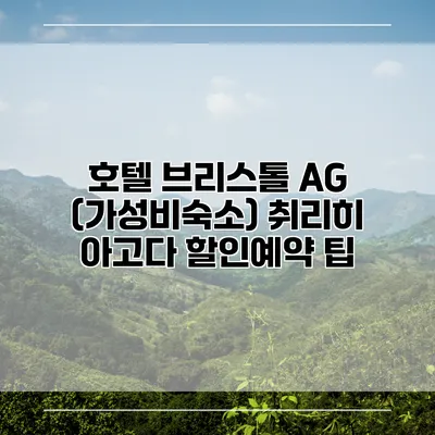 호텔 브리스톨 AG (가성비숙소) 취리히 아고다 할인예약 팁