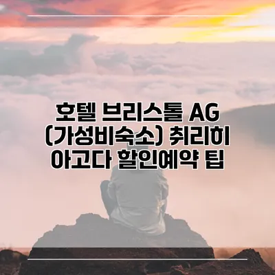 호텔 브리스톨 AG (가성비숙소) 취리히 아고다 할인예약 팁