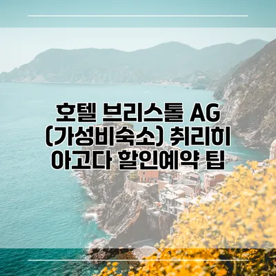 호텔 브리스톨 AG (가성비숙소) 취리히 아고다 할인예약 팁