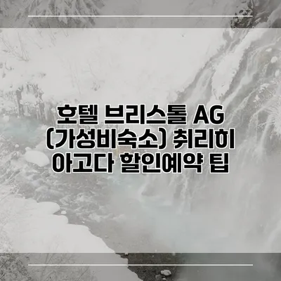 호텔 브리스톨 AG (가성비숙소) 취리히 아고다 할인예약 팁