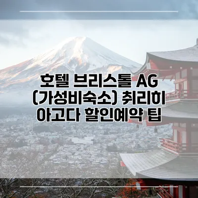 호텔 브리스톨 AG (가성비숙소) 취리히 아고다 할인예약 팁
