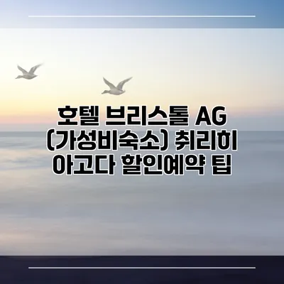 호텔 브리스톨 AG (가성비숙소) 취리히 아고다 할인예약 팁