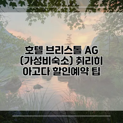 호텔 브리스톨 AG (가성비숙소) 취리히 아고다 할인예약 팁