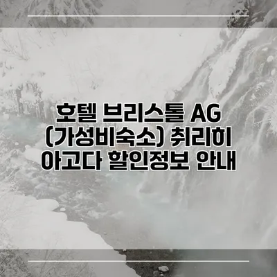 호텔 브리스톨 AG (가성비숙소) 취리히 아고다 할인정보 안내