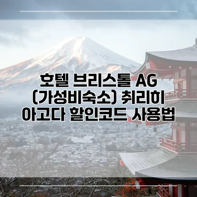 호텔 브리스톨 AG (가성비숙소) 취리히 아고다 할인코드 사용법