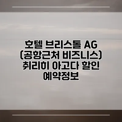 호텔 브리스톨 AG (공항근처 비즈니스) 취리히 아고다 할인 예약정보