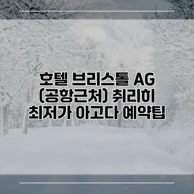호텔 브리스톨 AG (공항근처) 취리히 최저가 아고다 예약팁