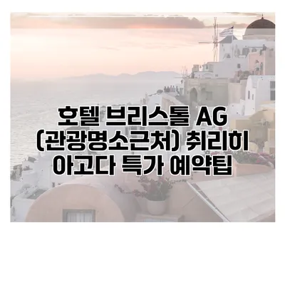 호텔 브리스톨 AG (관광명소근처) 취리히 아고다 특가 예약팁