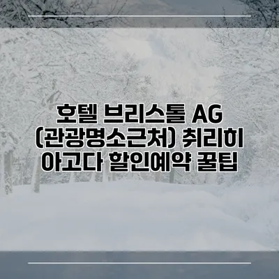 호텔 브리스톨 AG (관광명소근처) 취리히 아고다 할인예약 꿀팁