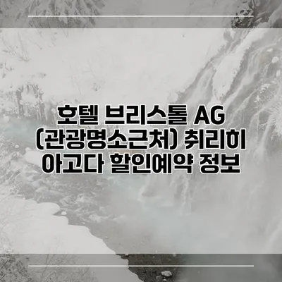 호텔 브리스톨 AG (관광명소근처) 취리히 아고다 할인예약 정보