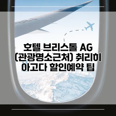 호텔 브리스톨 AG (관광명소근처) 취리히 아고다 할인예약 팁