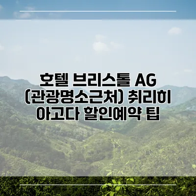 호텔 브리스톨 AG (관광명소근처) 취리히 아고다 할인예약 팁