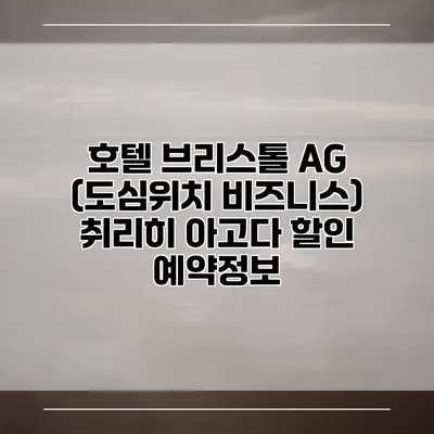 호텔 브리스톨 AG (도심위치 비즈니스) 취리히 아고다 할인 예약정보