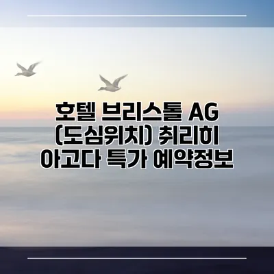 호텔 브리스톨 AG (도심위치) 취리히 아고다 특가 예약정보