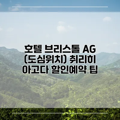 호텔 브리스톨 AG (도심위치) 취리히 아고다 할인예약 팁