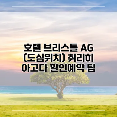 호텔 브리스톨 AG (도심위치) 취리히 아고다 할인예약 팁
