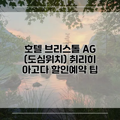 호텔 브리스톨 AG (도심위치) 취리히 아고다 할인예약 팁