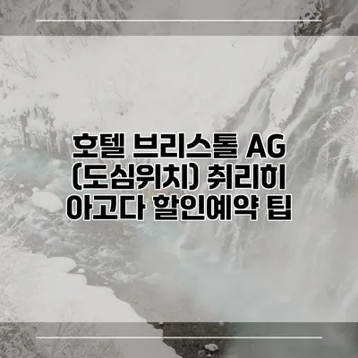 호텔 브리스톨 AG (도심위치) 취리히 아고다 할인예약 팁