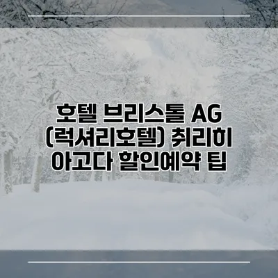 호텔 브리스톨 AG (럭셔리호텔) 취리히 아고다 할인예약 팁