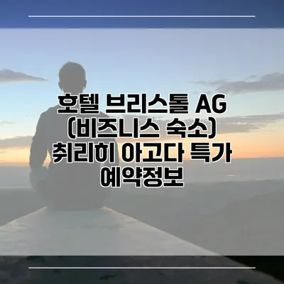 호텔 브리스톨 AG (비즈니스 숙소) 취리히 아고다 특가 예약정보
