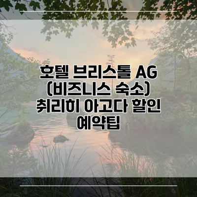 호텔 브리스톨 AG (비즈니스 숙소) 취리히 아고다 할인 예약팁
