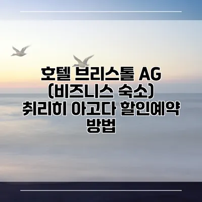 호텔 브리스톨 AG (비즈니스 숙소) 취리히 아고다 할인예약 방법