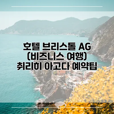 호텔 브리스톨 AG (비즈니스 여행) 취리히 아고다 예약팁